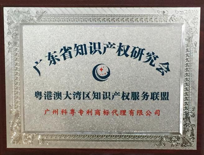广东省知识产权研究会服务联盟 赋能知识产权代理行业高质量发展