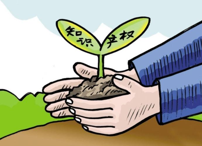 专利代理机构与知识产权代理 创新保护的专业守护者